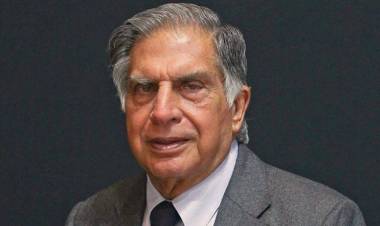 टाटा 'एअर इंडिया' नंतर आता आणखीन एका मोठ्या खरेदीच्या तयारीत ?